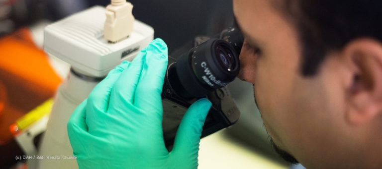 Ein Mediziner blickt durch ein Mikroskop