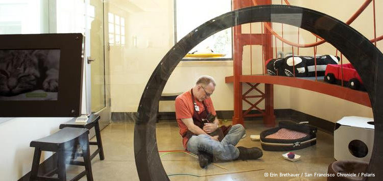Aids-Langzeitüberlebende: Kevin VandenBergh Tierheim