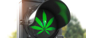Bild zum Beitrag zu Cannabislegalisierung und Drogenpolitik