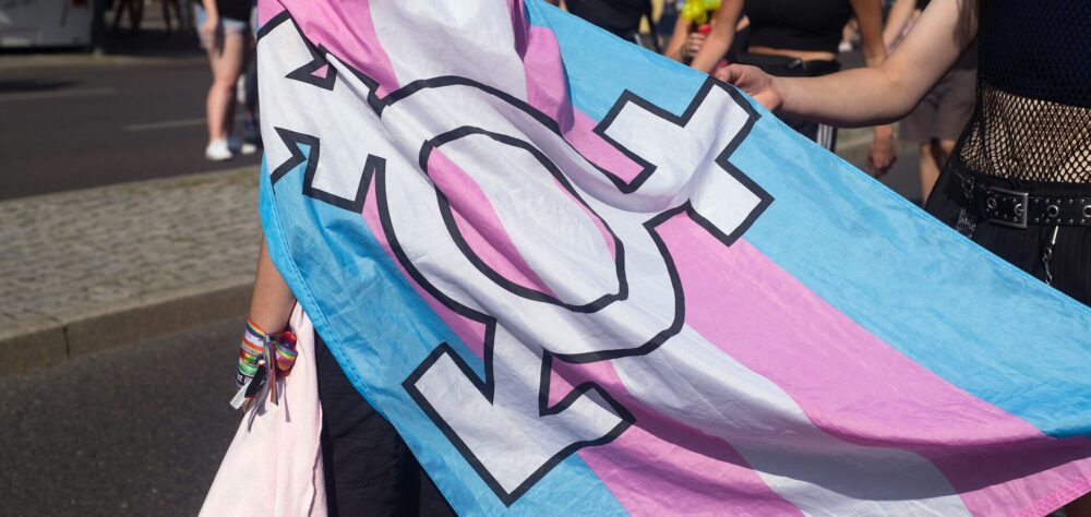 Transflagge mit dem Logo für nicht-binäre Geschlechtsidentität auf der Demonstration, im Hintergrund eine Menschengruppe