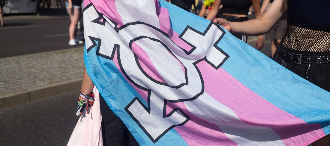 Transflagge mit dem Logo für nicht-binäre Geschlechtsidentität auf der Demonstration, im Hintergrund eine Menschengruppe