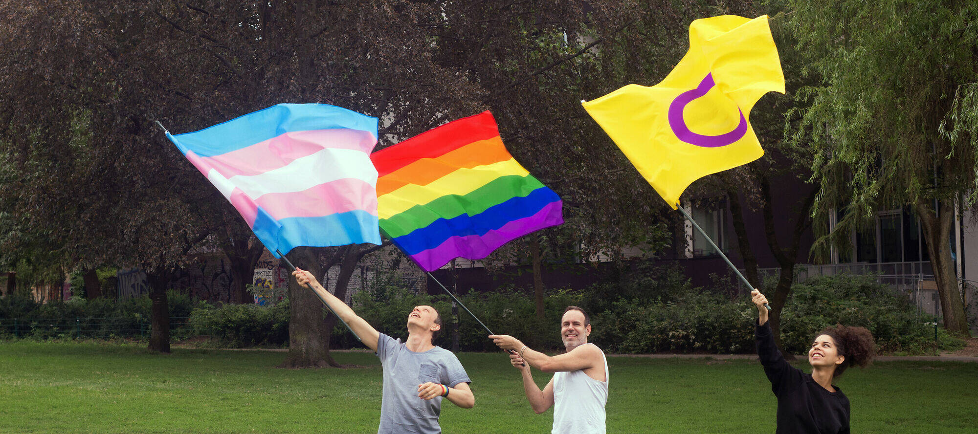 Drei Personen stehen auf einer Wiese und schwingen jeweils eine Pride-Flagge für trans, queere und intergeschlechtliche Menschen