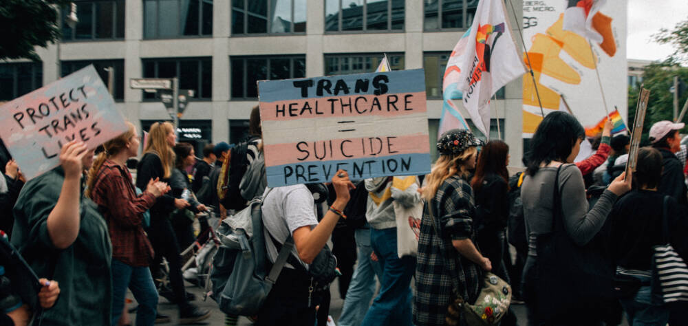 Demonstration, Schilder 