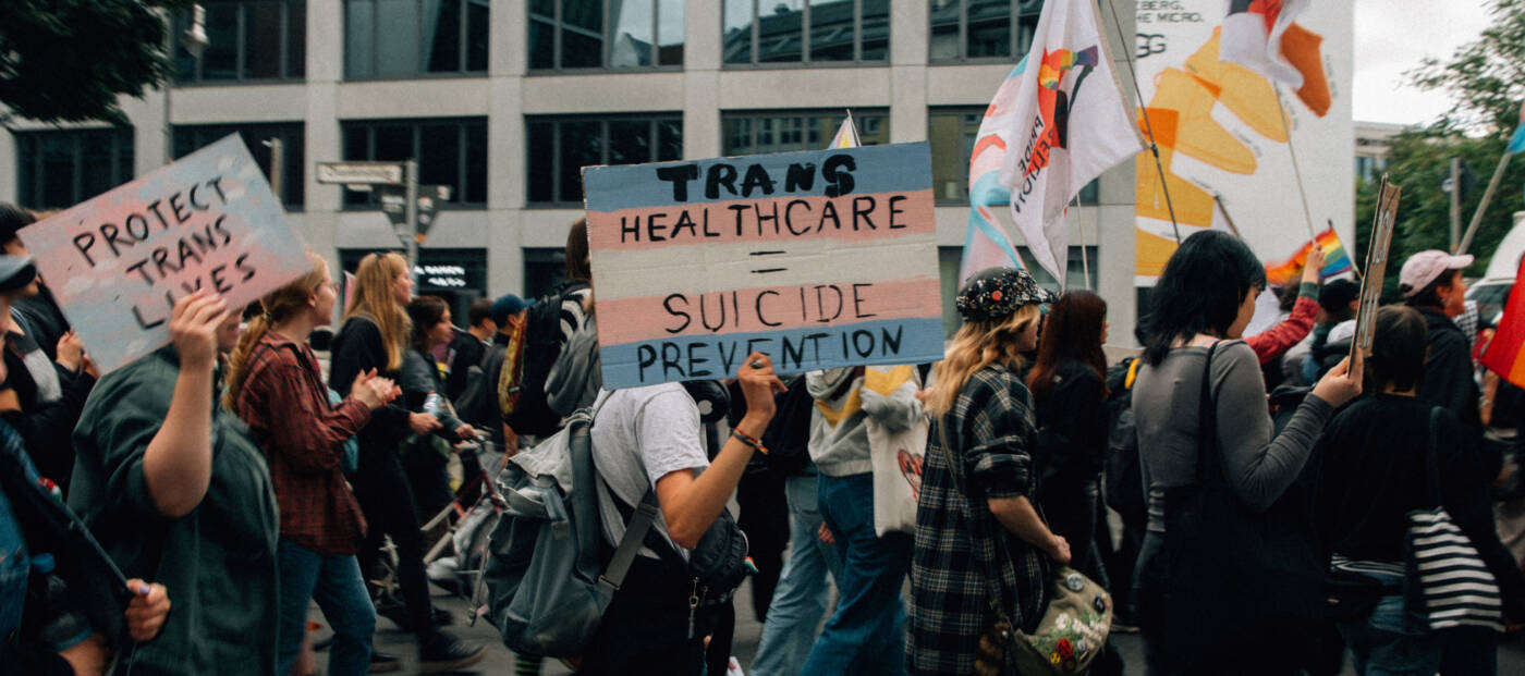 Demonstration, Schilder 