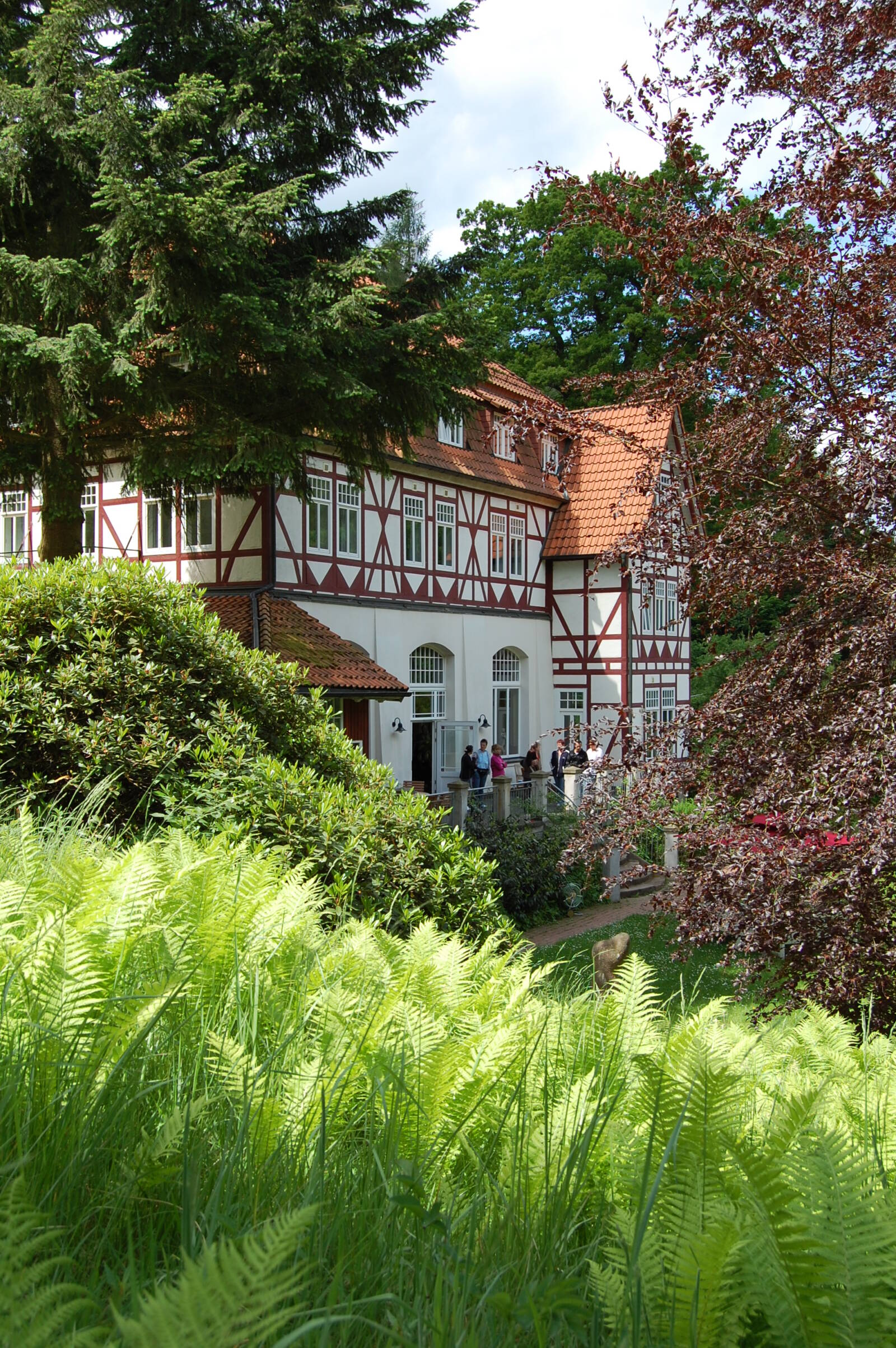 Fachwerkhaus in einer Landschaft aus Bäumen und Farnen
